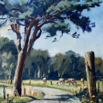 mooie boom richting Rozenven