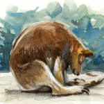 plezier beleven aan schetsen