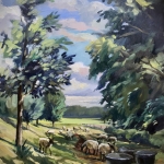 Schaapjes op het droge