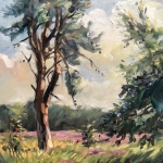Boom op de Rucphense Heide