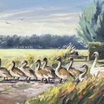 Zwanenfamilie