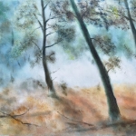 A foggy day