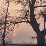 Foto inspiratie