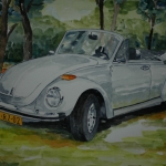 VW Cabrio