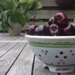 Fruittesten