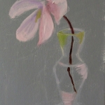 studie magnolia 2