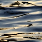 wind and water 1
