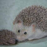 Hedgehog with little one
