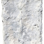 Saiseki 1