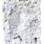 Saiseki 2.