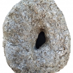 Dōnatsuドーナツ