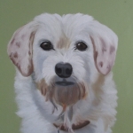 Portret van hond