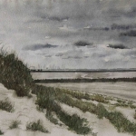 Duin aan de Westerschelde