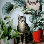 Kat