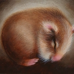 Baukje