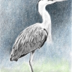 Reiger