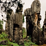 Kunming: Het stenen woud