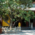 Shanghai: Jade Boedha - tempel
