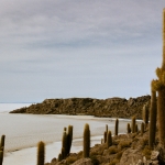 Uyuni: Cactus eiland