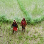 Pokhara: Onder moeders paraplu