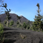 Guatemala: Pacaya (vulkaan)