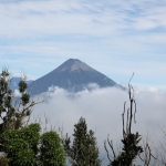 Guatemala: Pacaya (vulkaan)