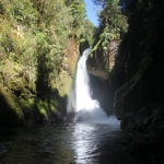 San Gerardo de Dota: Savegre rivier waterval