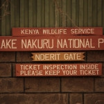 Lake Nakuru N.P. (0540)