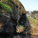 Pura Tanah lot .0050