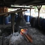 Flores: Arak distilleren .0272