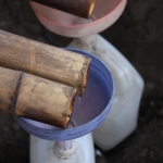 Flores: Arak distilleren .0275
