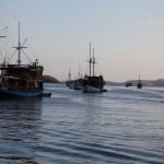 Rinca .0345