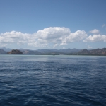 Rinca .0411
