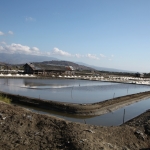 Sumbawa: Zoutpannen .0433