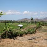 Sumbawa .0445