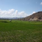 Sumbawa .0446