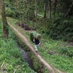 Tetebatu .0582