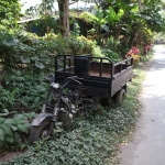 Tetebatu .0624