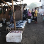 Tanjung Luar .0644