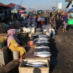Tanjung Luar .0672