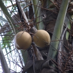 Lombok .0711