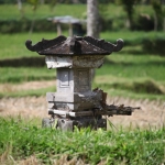 Ubud .0799