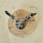 Mini Zebra hoorn