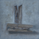 Wasknijpers