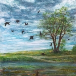 Raven in het landschap