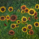 Zonnebloemen in het vrije veld