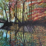 Herfstkleuren in de Ardennen