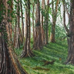 De schooneid van het verdwijnende tropische bos