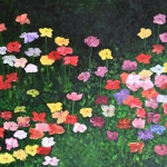 Annemonen in het licht