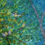 Pimpelmezen boven water